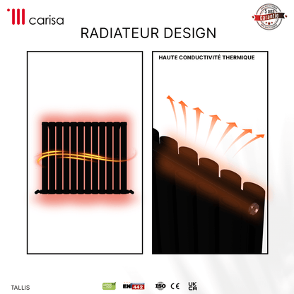 Carisa Tallis Termoarredo in Alluminio Orizzontale Design Moderno Nero 